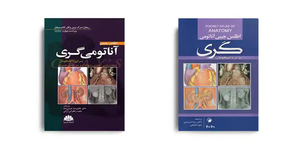 اطلس آناتومی گری