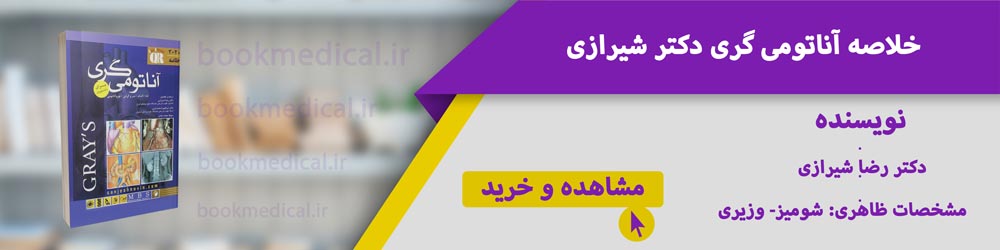 بهترین خلاصه آناتومی گری | خلاصه آتاتومی گری دکتر شیرازی، مهدی زاده یا گلچینی؟