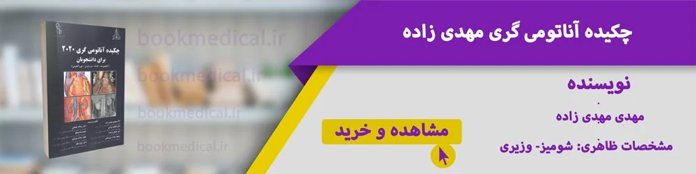 بهترین خلاصه آناتومی گری | خلاصه آتاتومی گری دکتر شیرازی، مهدی زاده یا گلچینی؟