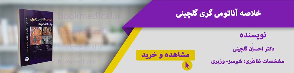 بهترین خلاصه آناتومی گری