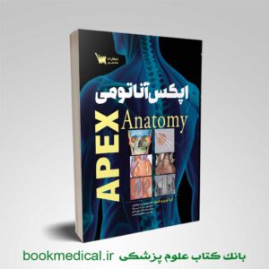 اپکس آناتومی